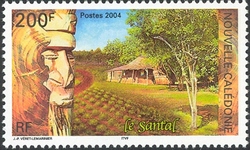 Avatar de calédonien 98