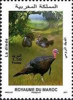 Avatar de mido philatélie