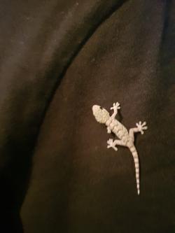 Avatar de Xavierpollet