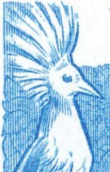 Avatar de Yellowhale