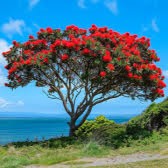 Avatar de Valerie7281