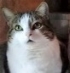 Avatar de poussy32