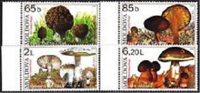 timbre à identifier