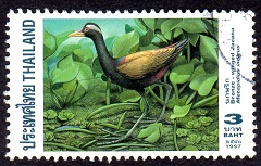 timbre à identifier