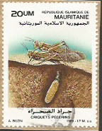 timbre à identifier