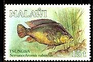 Timbre: Poisson