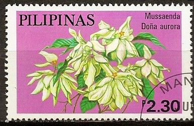 Timbre: Fleur Mussaenda - Dona aurora