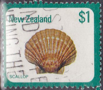 Timbre: Pecten novaezelandia