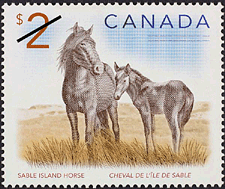 Timbre: Cheval de l'&icirc;le de Sable