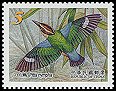 Timbre: Pitta nympha