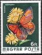 Timbre: Palacochrysophanus hyppothoe