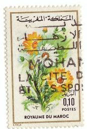 Timbre: Chrysanthemum carinatum