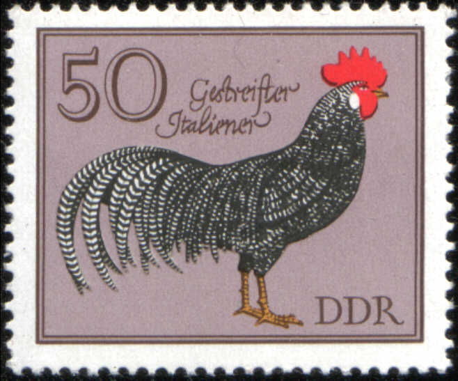 Timbre: Coq italien