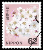 Timbre: Fleurs cerisier - Somei-yoshino Cherry blossom