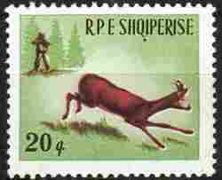 Timbre: Chasse 