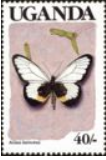 Timbre: Acraea semivitrea