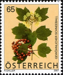 Timbre: Viorne obier