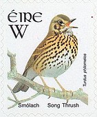 Timbre: Oiseaux, Grive musicienne Adh