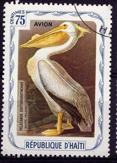Timbre: haiti Pelican blanc