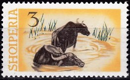 Timbre: Buffles des marais