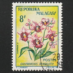 Timbre: Orchid&eacute;es - Gastrorchis humblotil