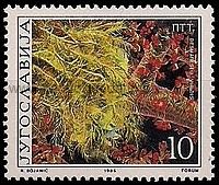 Timbre: Desmarestia viridis