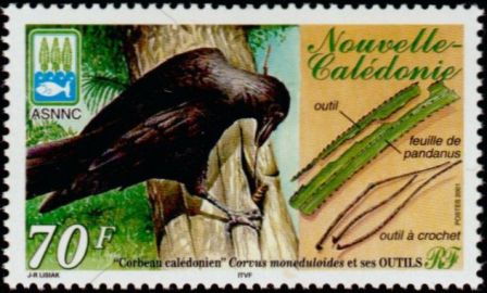 Timbre: Corbeau cal&eacute;donien