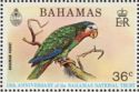 Timbre: Perroquet des Bahamas