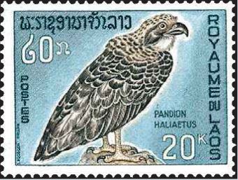 Timbre: Balbuzard