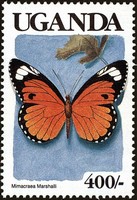 Timbre: Mimacraea marchalli