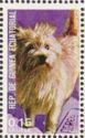 Timbre: Cairn-Terrier