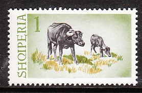 Timbre: Buffles des marais