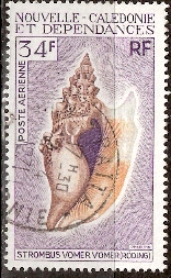 Timbre: Strombus vomer vomer