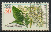 Timbre: Fleurs de sureau