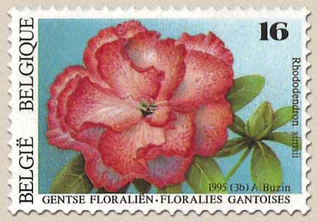Timbre: Rhododendron simsii