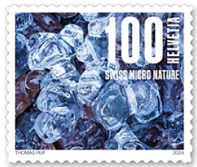 Timbre: Glace