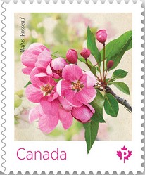 Timbre: Fleurs du pommetier 