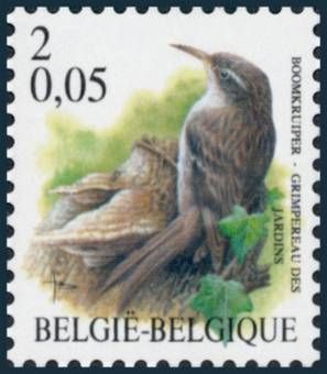 Timbre: Grimpereau des jardins.