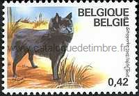Timbre: Schipperke