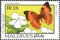Timbre: Papillon