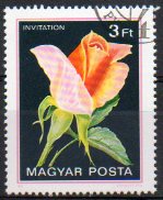 Timbre: Rose Invitation