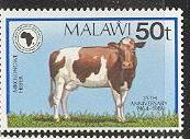 Timbre: G&eacute;nisse Mikolongwe